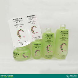 從煙臺(tái)DVD導(dǎo)航貼紙到科教玩具 探索多元生活與教育需求